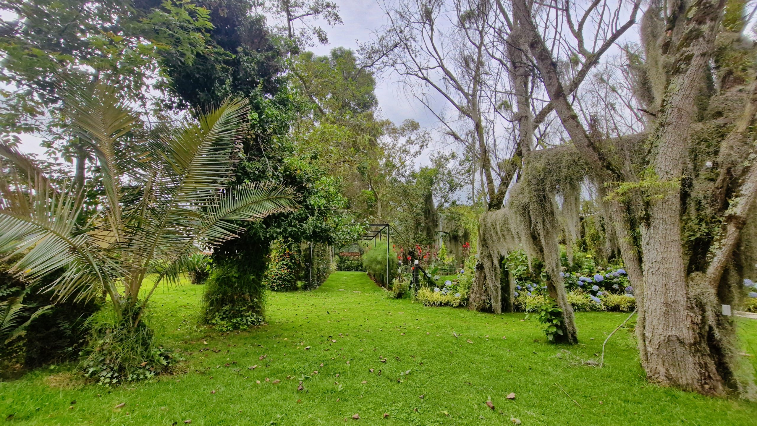 {"data":{"pictureId":"4aa7d4fdf9ee4d19bf904dc50a5e58ce","appversion":"5.2.0","stickerId":"","filterId":"2960670","infoStickerId":"","imageEffectId":"","playId":"","activityName":"","os":"android","product":"retouch","originAppId":"7356","exportType":"","editType":"","alias":"","enterFrom":"enter_launch","capability_key":["filter"],"capability_extra":{"filter":["2960670"]}},"source_type":"hypic","tiktok_developers_3p_anchor_params":"{"client_key":"awgvo7gzpeas2ho6","template_id":"","filter_id":["2960670"]}"}