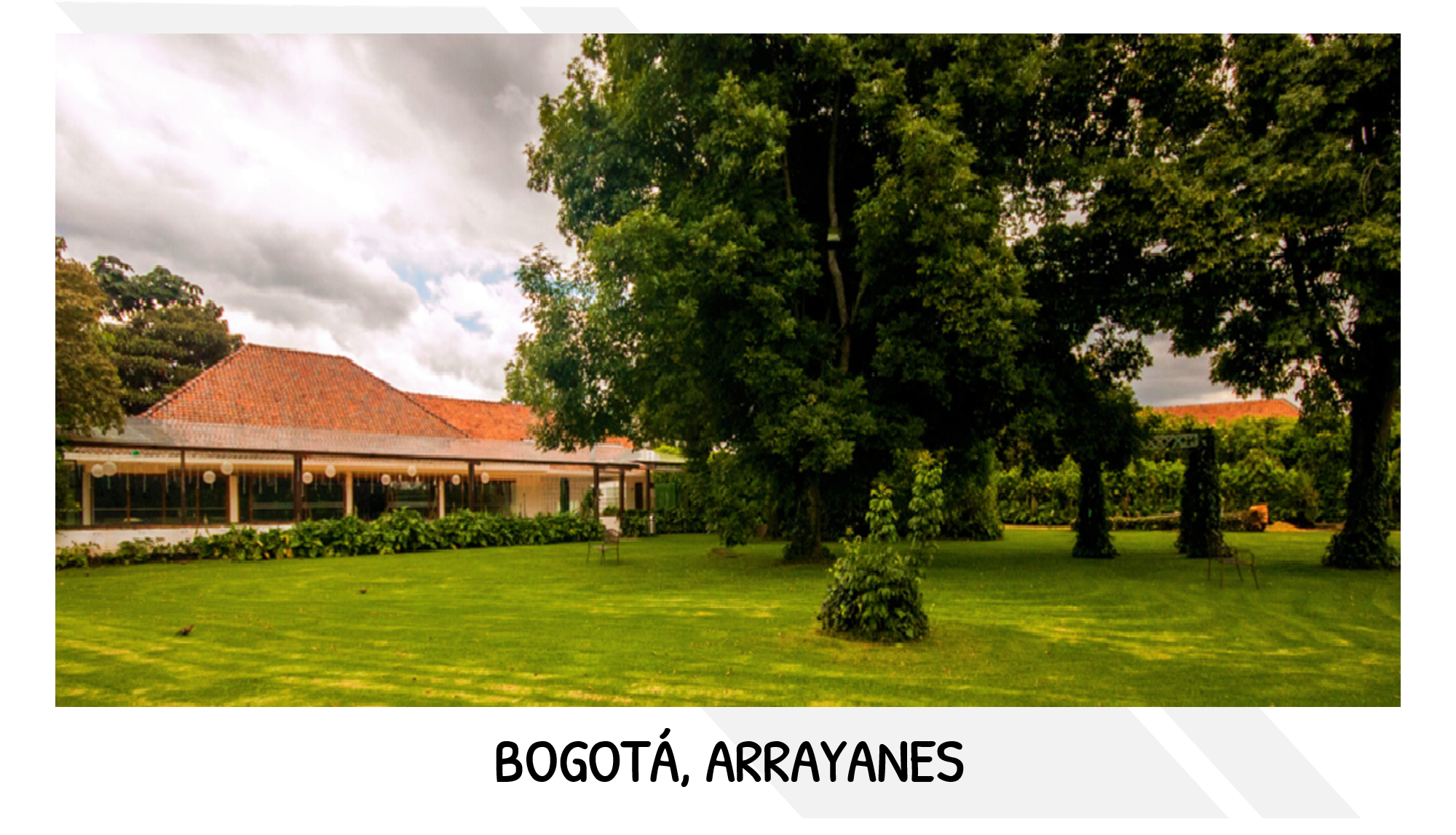 PORTADA BOGOTÁ ARRAYANES