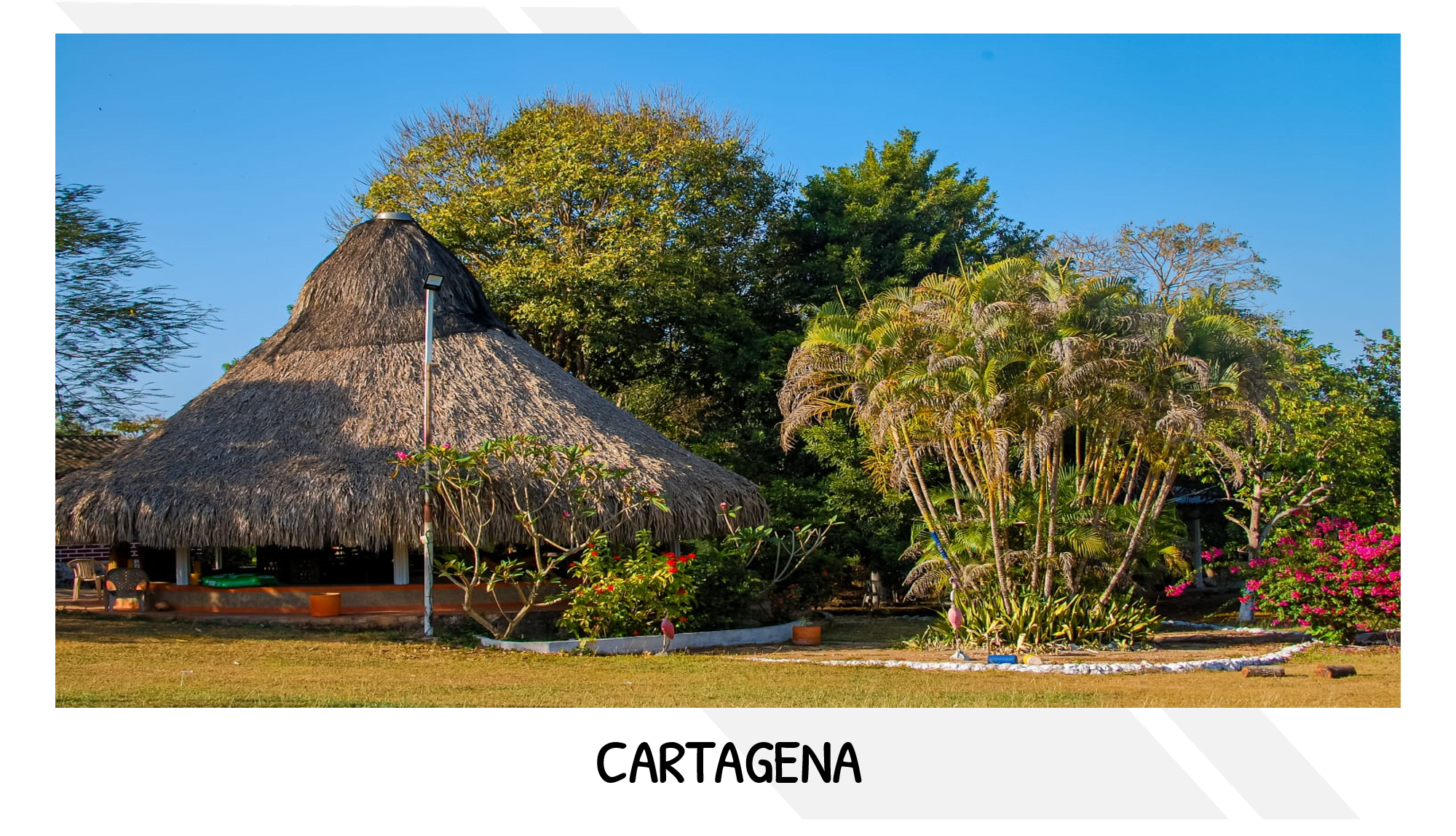 PORTADA CARTAGENA