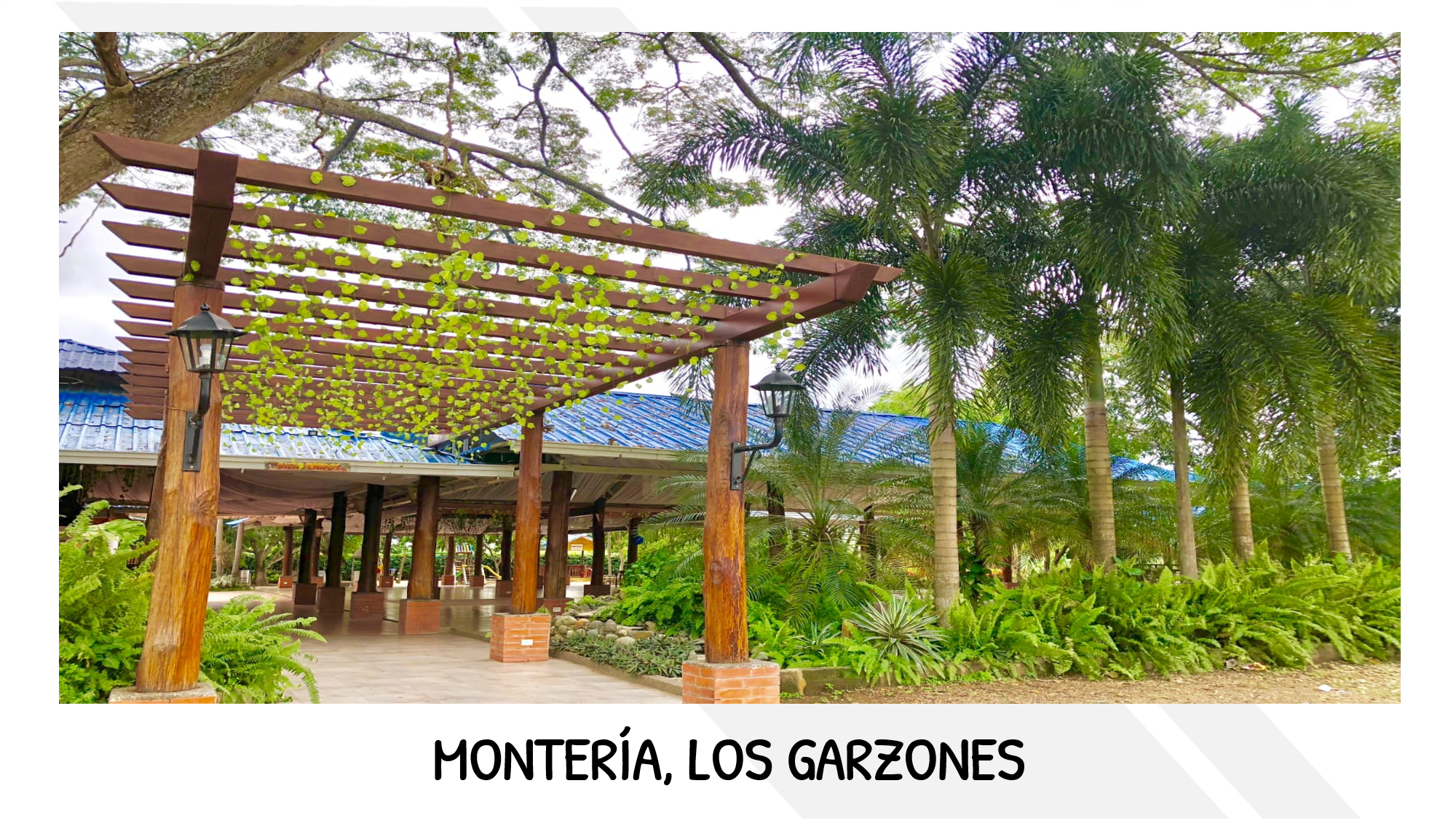 PORTADA MONTERÍA LOS GARZONES